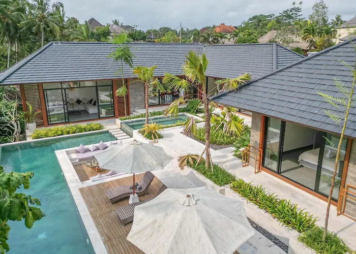 The Kayu By Goro